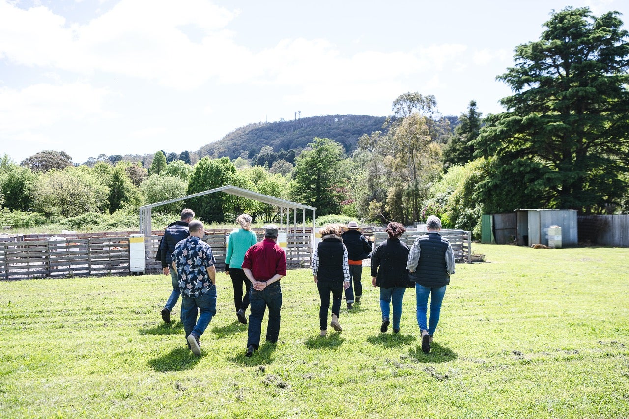 Flow Hive Beekeeping | BOWRAL BEEKEEPING