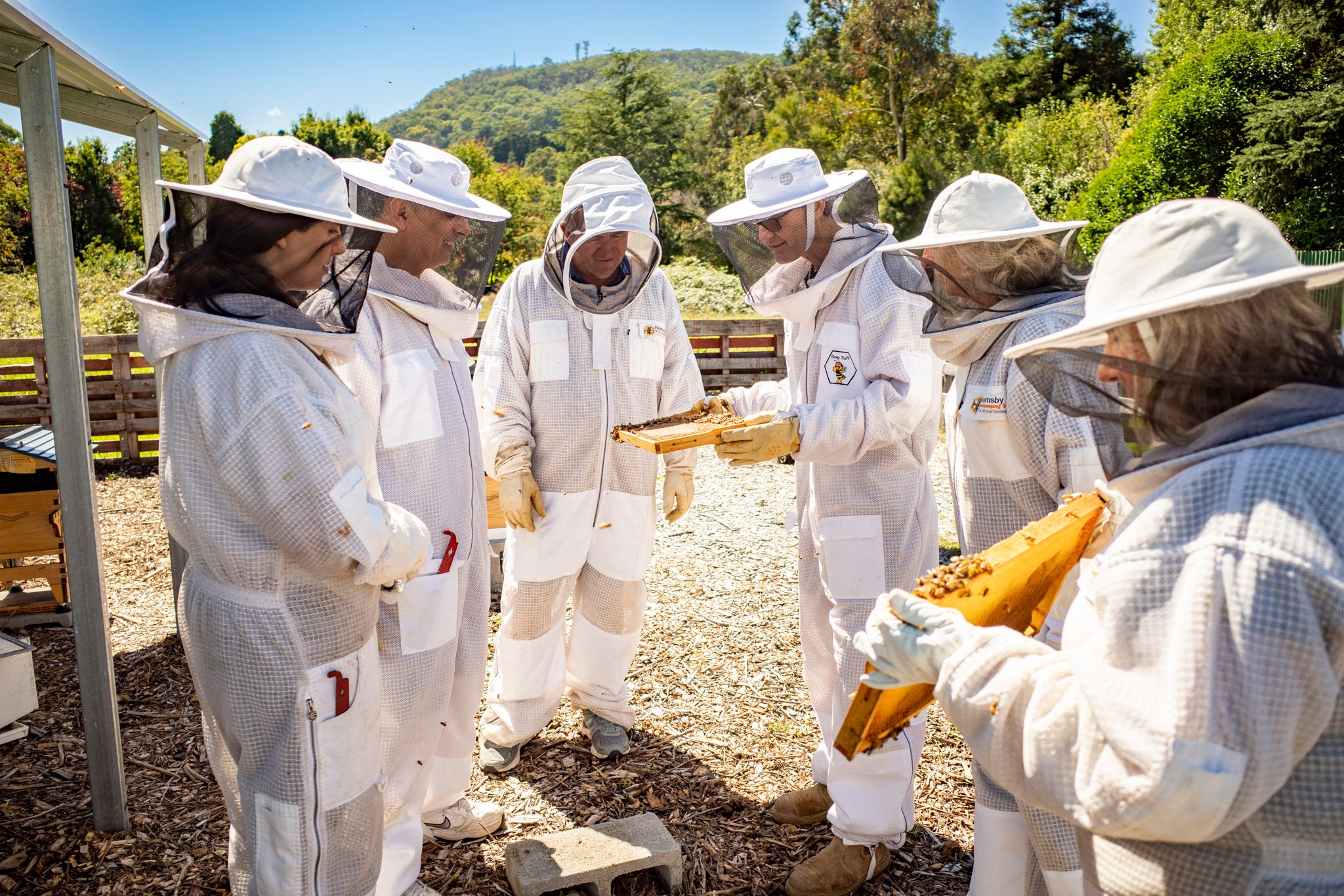 Flow Hive Beekeeping | BOWRAL BEEKEEPING